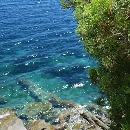 Apartamento Rocas